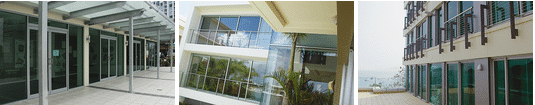 Commerical Framed Windows
