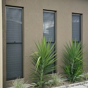 3 double hung windows of a house with plants in backyard