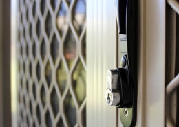 Security Screen In Sliding Door